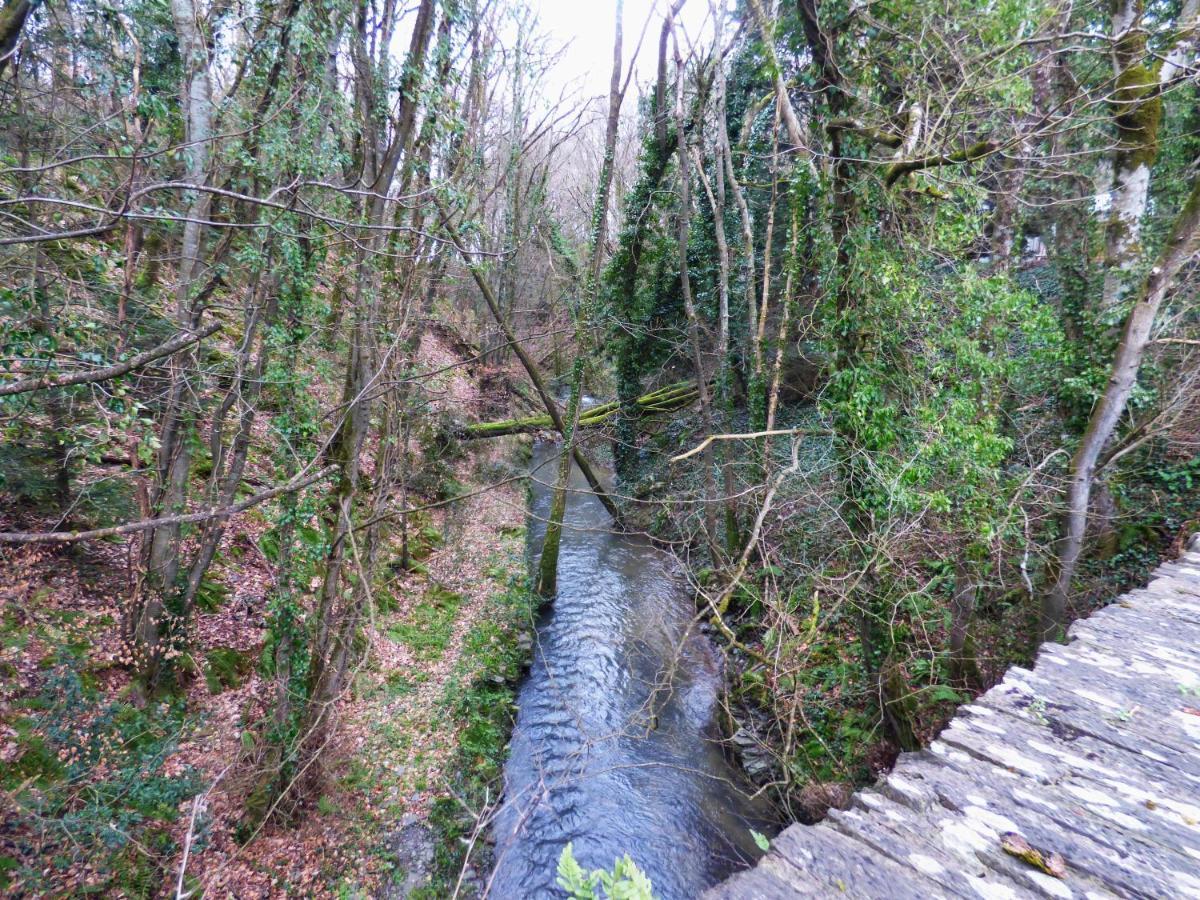 The Mill Cottage Llechryd Exterior photo